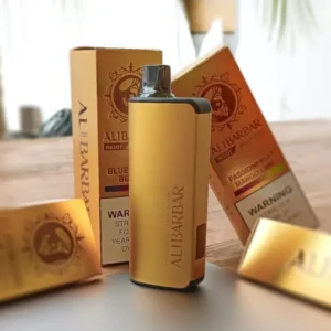 Alibarbar Ingot 9000 puffs-50 pack